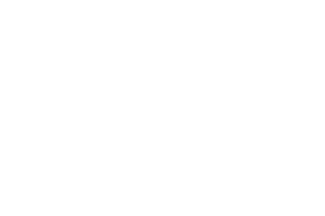 OFFICIAL SELECTION - Montreal Independent Film Festival - 2021 (1)